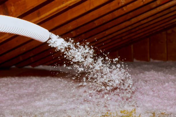 Best Insulation Removal  in Wakeman, OH