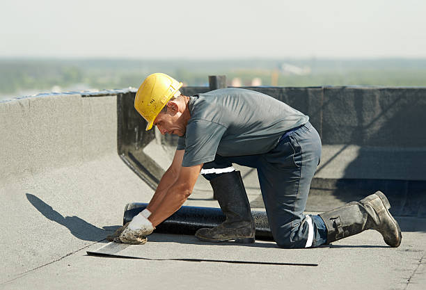 Best Insulation Contractor Near Me  in Wakeman, OH